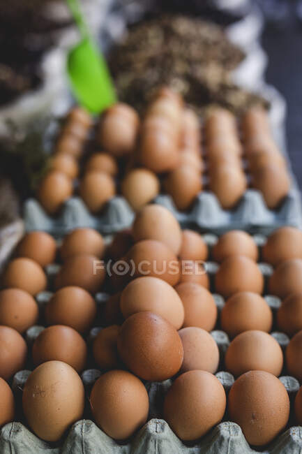 Comida en la calle. huevos - foto de stock
