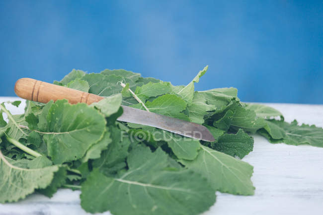 Coltello su mucchio di foglie verdi sul tavolo su sfondo blu — Foto stock