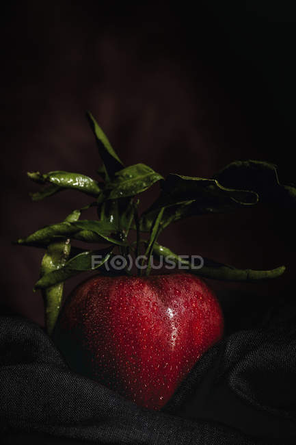 Сырое красное яблоко с листьями на черной ткани — стоковое фото