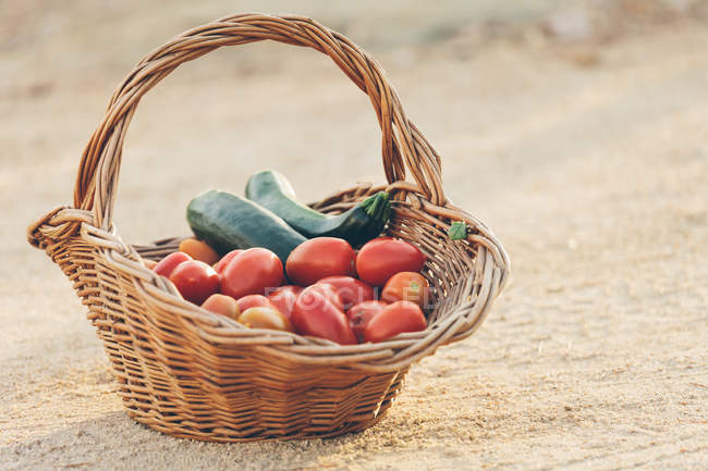 Basket of fresh picked red tomatoes and zucchinis on ground — Stock Photo