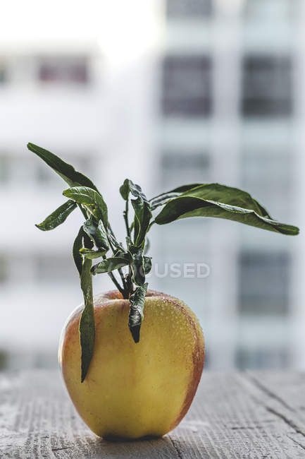 Pomme jaune fraîche avec feuilles sur table en bois — Photo de stock