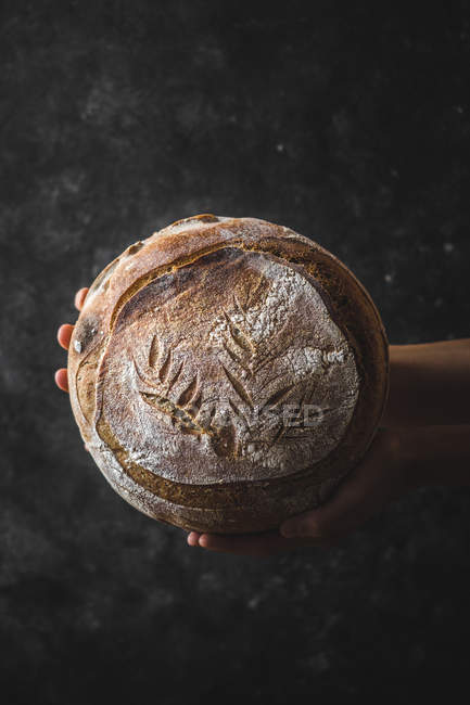 Closeup of human hand holding loaf of fresh bread on dark background — Stock Photo