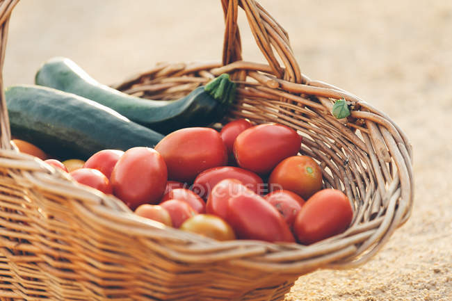 Korb mit frisch gepflückten roten Tomaten und Zucchinis auf dem Boden — Stockfoto