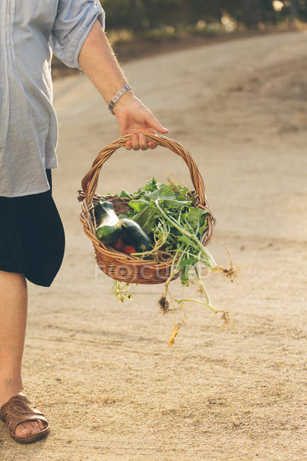 Crop man holding basket of fresh tomatoes, zucchinis and greens in garden — Stock Photo
