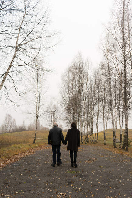 Неузнаваемая пожилая пара, идущая по дорожке в парке — стоковое фото