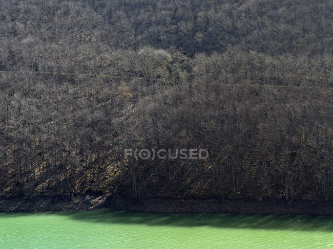 Paysage d'arbres sans feuilles sur le rivage d'une rivière bleue calme au soleil — Photo de stock