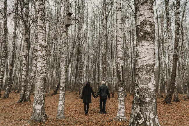 Back view of senior man and woman holding hands while standing amidst trees in wonderful autumn park — Stock Photo