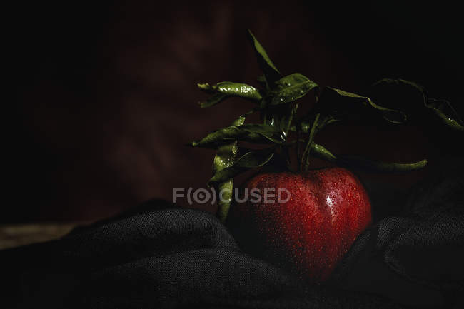 Maçã vermelha crua com folhas em tecido preto — Fotografia de Stock