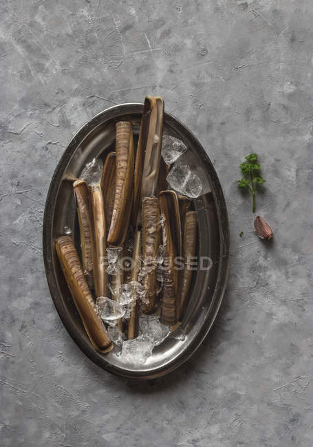 Platte mit rohen Rasiermuscheln auf Eis auf grauer Oberfläche — Stockfoto