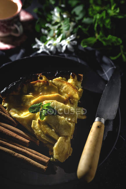 Torta di mele con cannella e menta servita su piatto nero — Foto stock