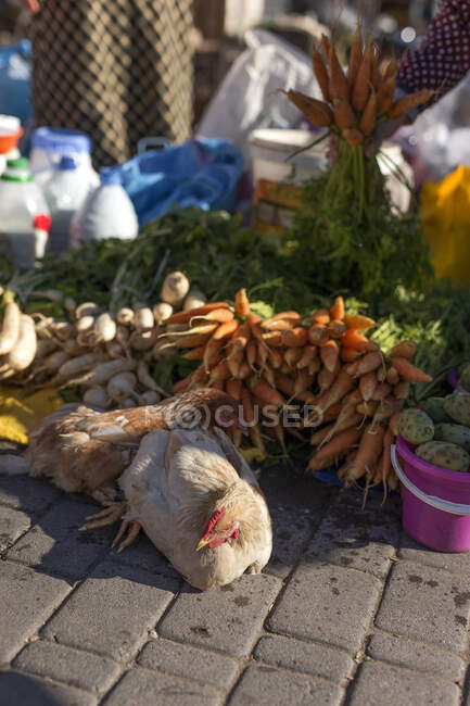 Des stands de nourriture dans la rue. Légumes, fruits, poulets vivants, carottes — Photo de stock