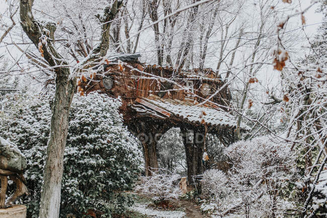 Дом на деревьях в зимнем лесу — стоковое фото