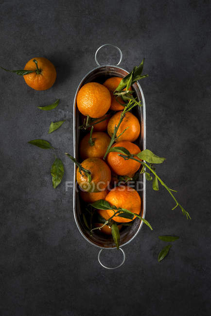 Mandarines fraîches avec des tiges et des feuilles dans une casserole métallique sur fond sombre — Photo de stock