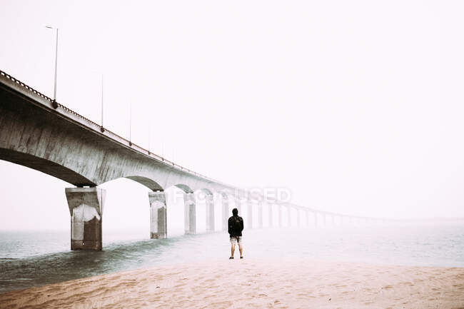 Back view guy with backpack standing on shore near bridge and water in fog in France — Fotografia de Stock