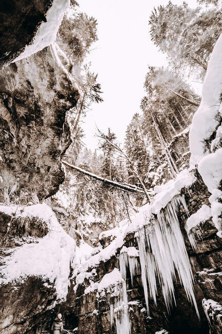 D'en bas ravin entre sapins dans la neige et ciel nuageux en Allemagne — Photo de stock