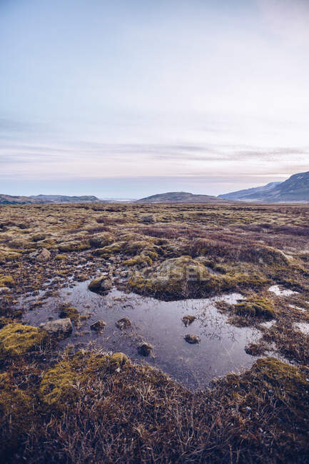 Slop sur les terres sauvages près des collines de pierre et le ciel bleu pittoresque en Islande — Photo de stock