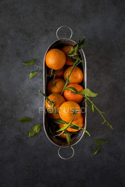 Свіжі мандарини зі стеблами та листям у металевій сковороді на темному фоні — стокове фото