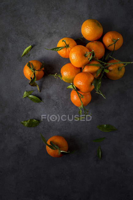 Tangerines with stems and leaves on dark background — Stock Photo