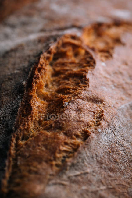 Closeup of homemade rustic bread loaf — Stock Photo