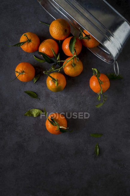 Tangerines with stems and leaves falling out metal pan on dark background — Stock Photo