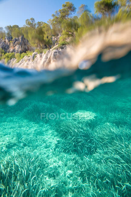 Falaise avec des arbres près de l'eau de mer turquoise — Photo de stock