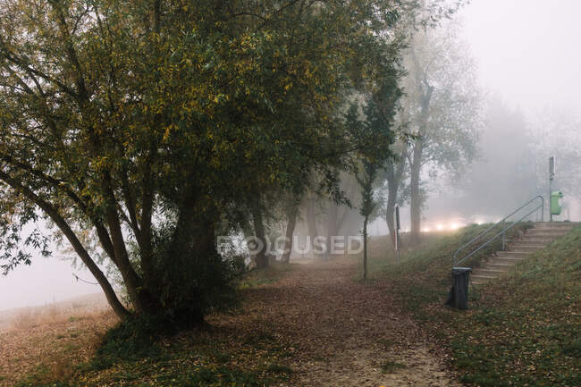 Walkway in fallen foliage near woods and route with automobiles in fog — Stock Photo