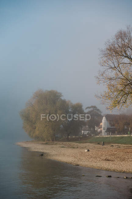 Maison et bois au feuillage jaune sur la côte du lac entre brouillard en automne — Photo de stock