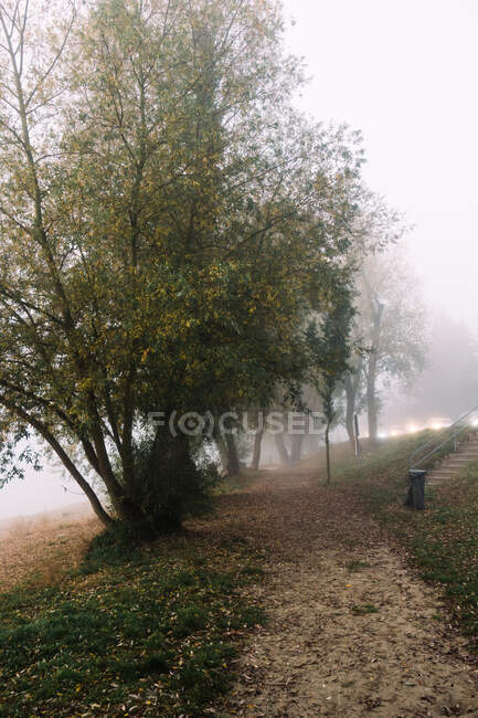 Sentiero con foglie cadute vicino agli alberi e strada con auto — Foto stock