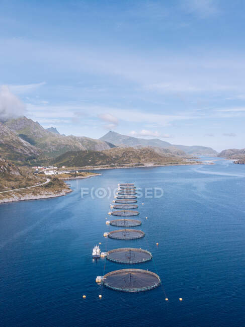 Drone view of row of fish farms in blue calm water of ocean with coastline of Lofoten Island in sunlight, Norway — Stock Photo