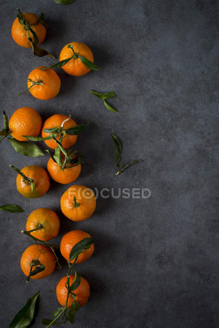 Fresh ripe tangerines with stems and leaves on dark background — Stock Photo