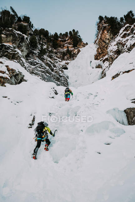 From below back view humans with equipments mounting on snow cliff with forest at top in Germany — Stock Photo
