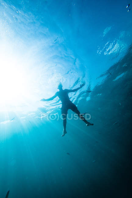 Человек плавает под водой между маленькими рыбками — стоковое фото