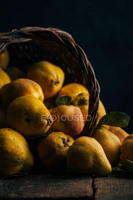 Fresh ripe quinces in upturned basket on dark wooden background — Stock Photo