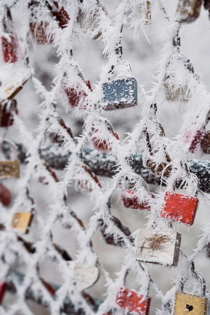 White hoarfrost covering love padlocks and net fence on winter day in park — Stock Photo