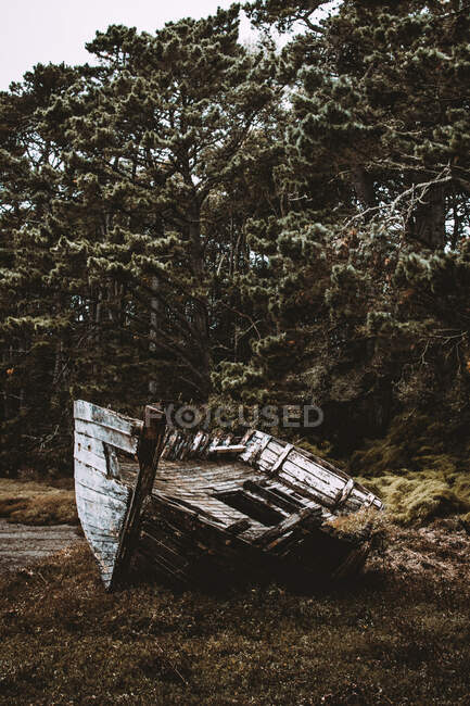 Старая деревянная лодка на траве — стоковое фото