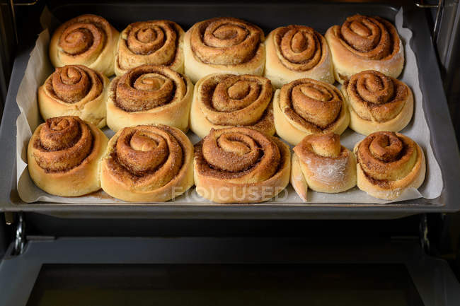 Fresh baked tasty buns on baking pan. — Stock Photo