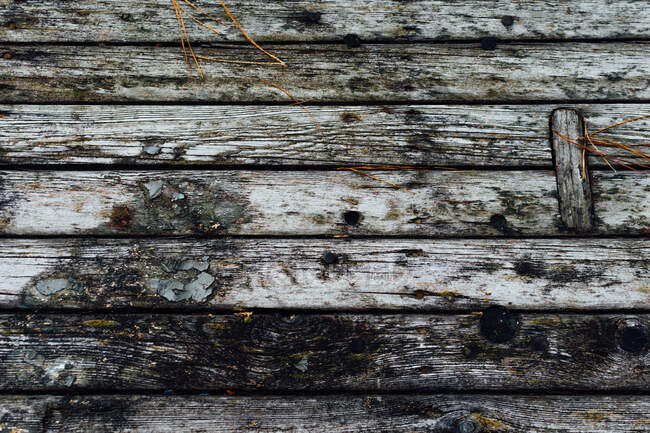 Trockene alte Holzplatten — Stockfoto