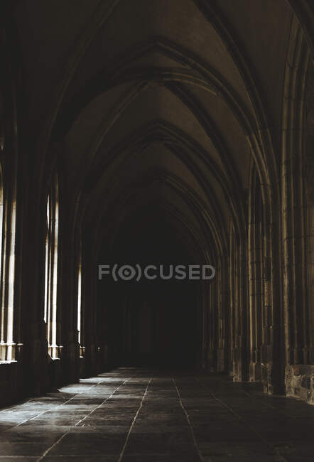Bella grande vecchia sala con colonne alte e sole attraverso le finestre nella cattedrale in Olanda — Foto stock