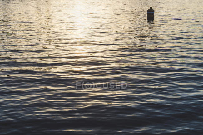 Boa tra onde con spruzzi di mare nel tempo soleggiato in Olanda — Foto stock