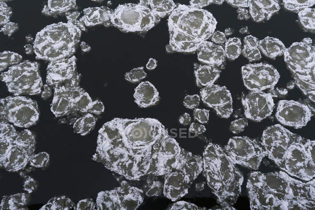 Зверху знімок крижаних пластин, покритих снігом, що плаває на поверхні темної води — стокове фото