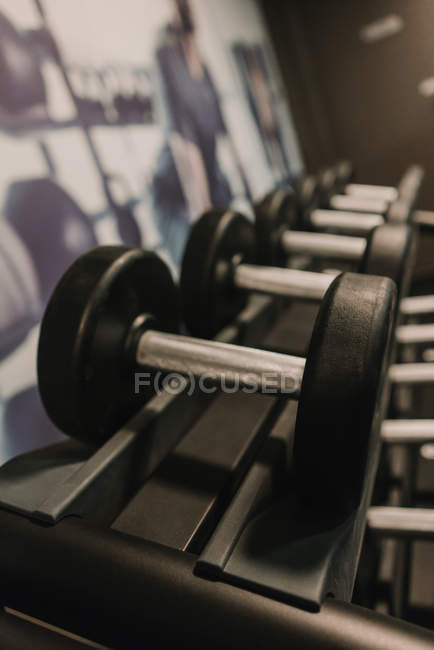 Set of dumbbells lying on rack in gym — Stock Photo