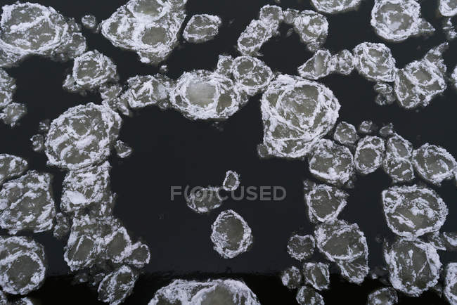 From above shot of ice plates covered with snow floating on surface of dark water — Stock Photo