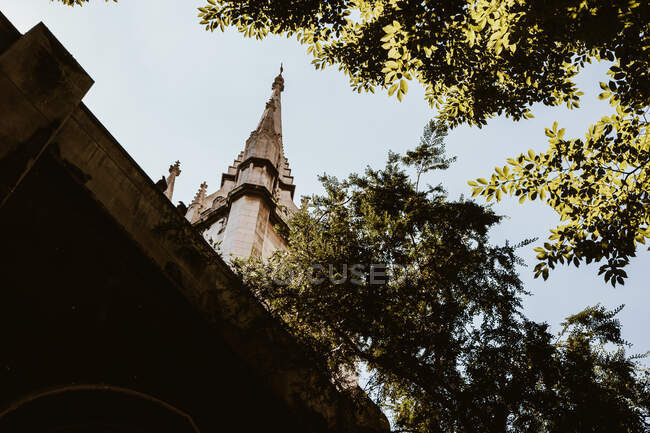 From below shot of branches of green tree and spire of ancient building on background of blue cloudless sky in London, England — Stock Photo