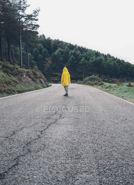Vista posterior del hombre en impermeable amarillo en la ruta rural que corre cerca de la colina con bosque en Isoba, Castilla y León, España - foto de stock