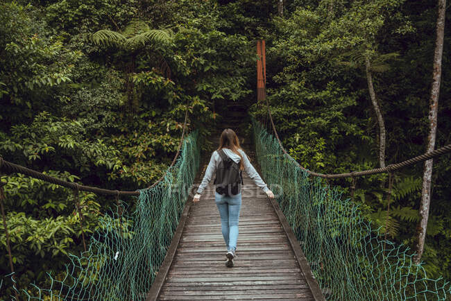 Back view young slim lady with backpack going on hanging bridge to verdant exotic woods in Malaysia — Stock Photo