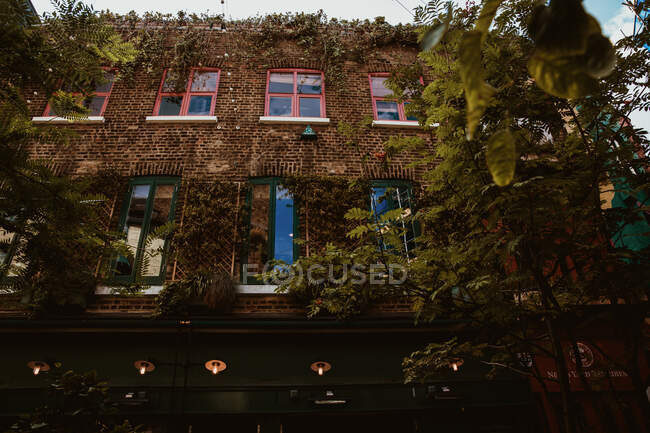 Mossy facade of old building — Stock Photo