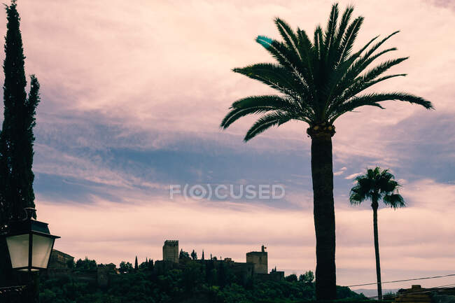 Pintoresca vista del hermoso cielo nublado sobre palmeras y bonita ciudad turística - foto de stock