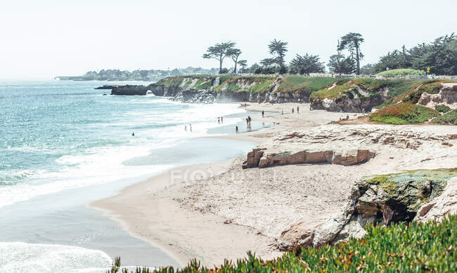 Malerischer Blick auf die Sandküste des Ozeans mit Menschen in der Nähe von grünem Gras und Palmen an sonnigen Tagen in San Francisco, USA — Stockfoto