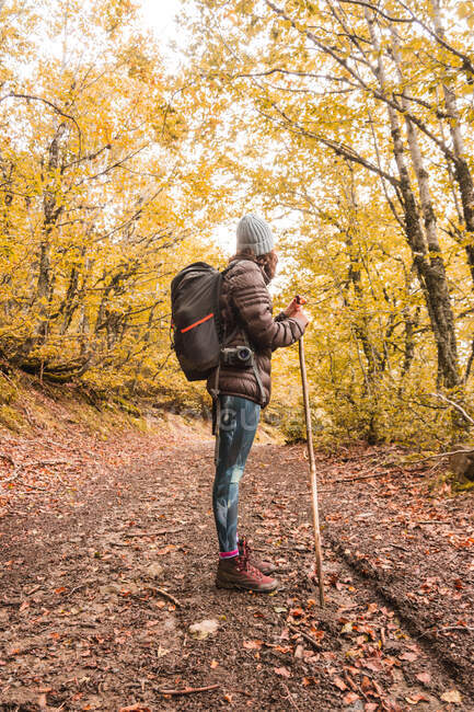 Seitenansicht einer Dame mit Hut und Skijacke mit Ranzen und Spazierstock auf einem Fußweg zwischen Herbstwald in Isoba, Kastilien und León, Spanien — Stockfoto
