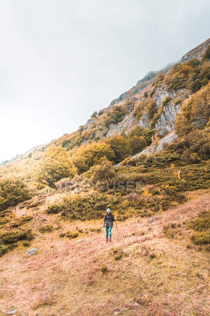 Человек с рюкзаком на лугу, облачное небо и вид на горы с лесом в Исобе, Кастилии и Леоне, Испания — стоковое фото